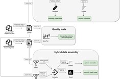 mechanism of application