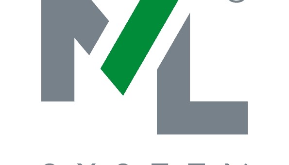 Logo ML System