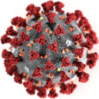 Virus example