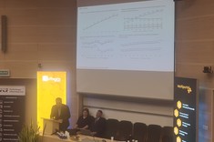 PhD, DSc, Eng. Dominik Strzałka, prof. PRz 