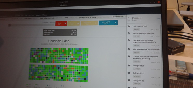 fot. Michał Piętal