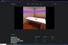 VR simulation